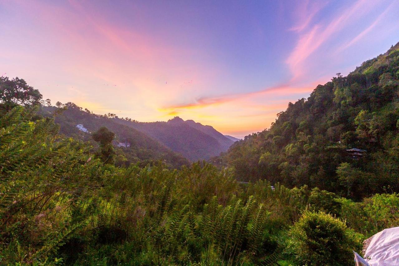 Green Vista Ella Ngoại thất bức ảnh